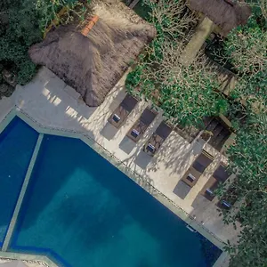 Artini 2 Hotel Ubud